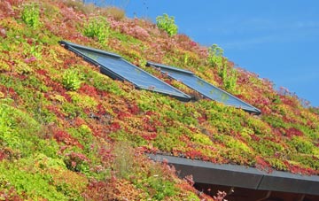 Mount Hawke living roof systems